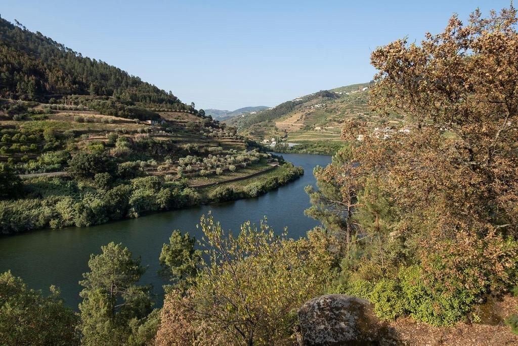Photo of Outdoor in Barro