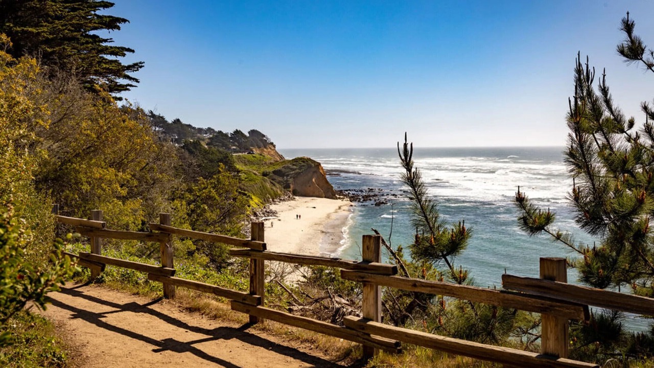 Photo of Others in Moss Beach