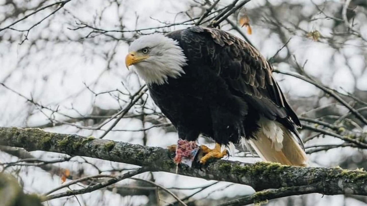 Photo of Others in Ucluelet