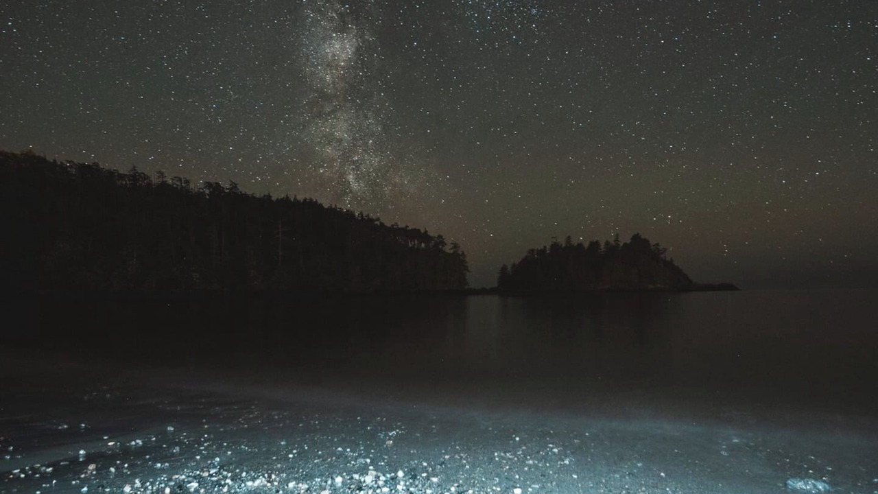 Photo of Others in Ucluelet