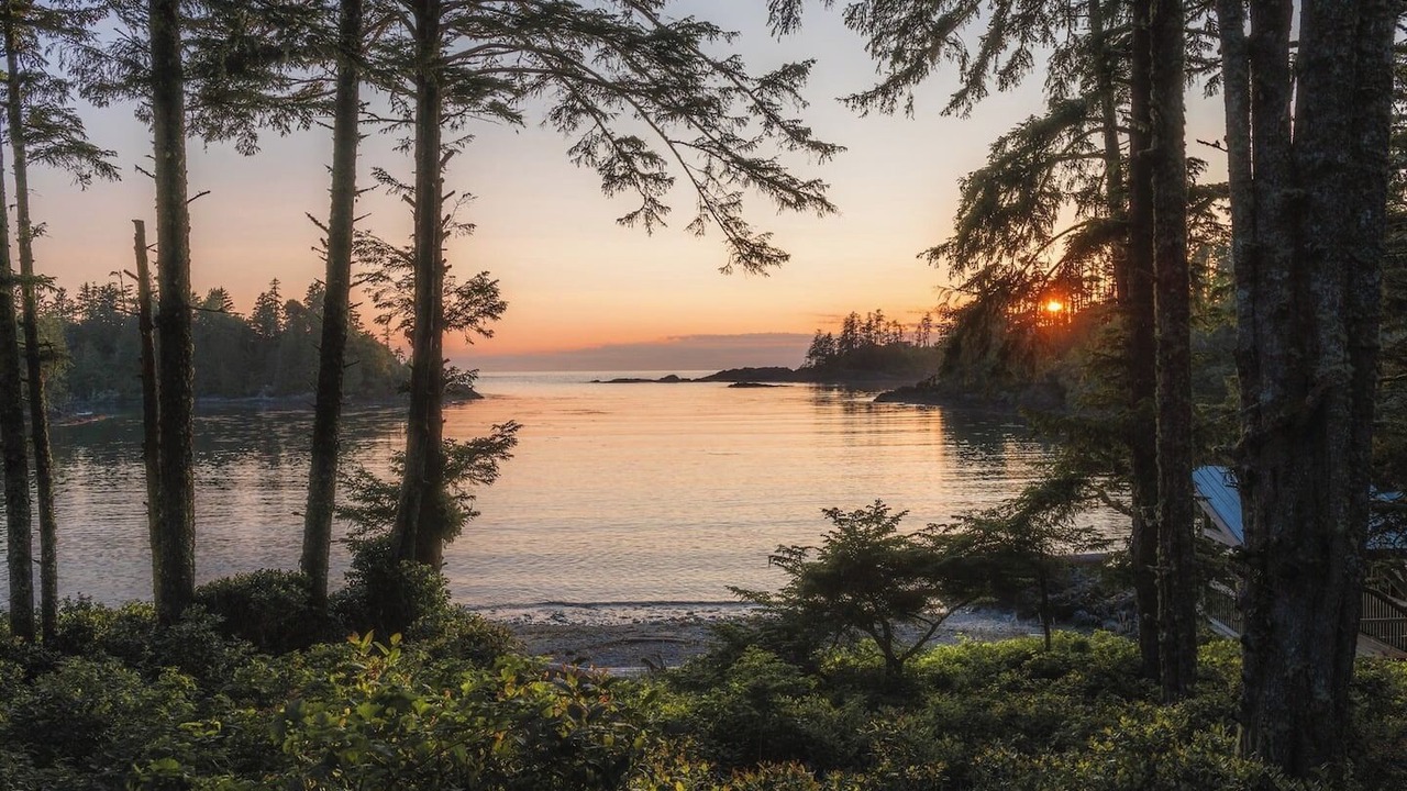 Photo of Others in Ucluelet