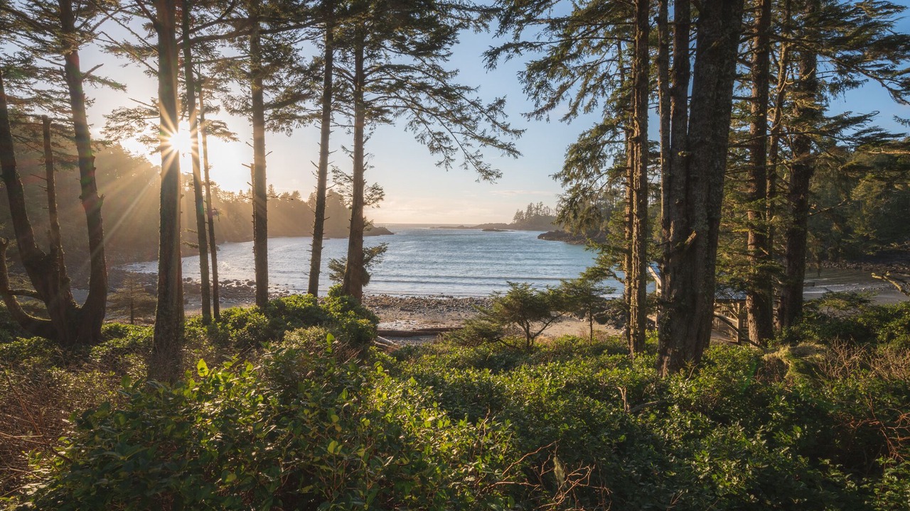 Photo of Outdoor in Ucluelet