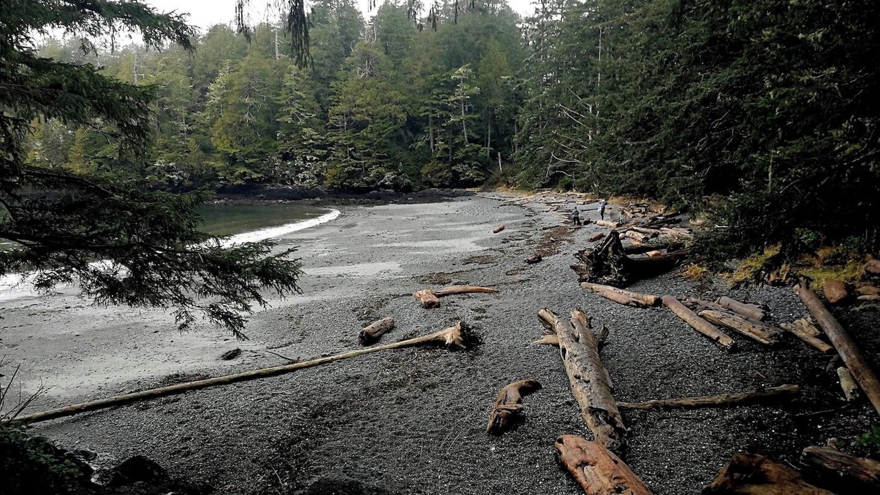 Photo of Others in Ucluelet