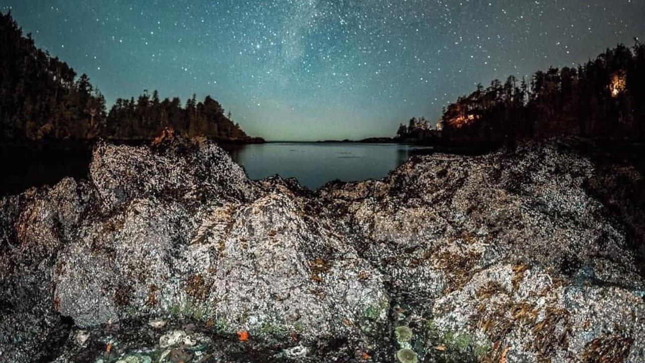 Photo of Others in Ucluelet
