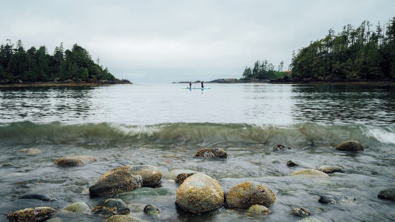 Photo of Others in Ucluelet