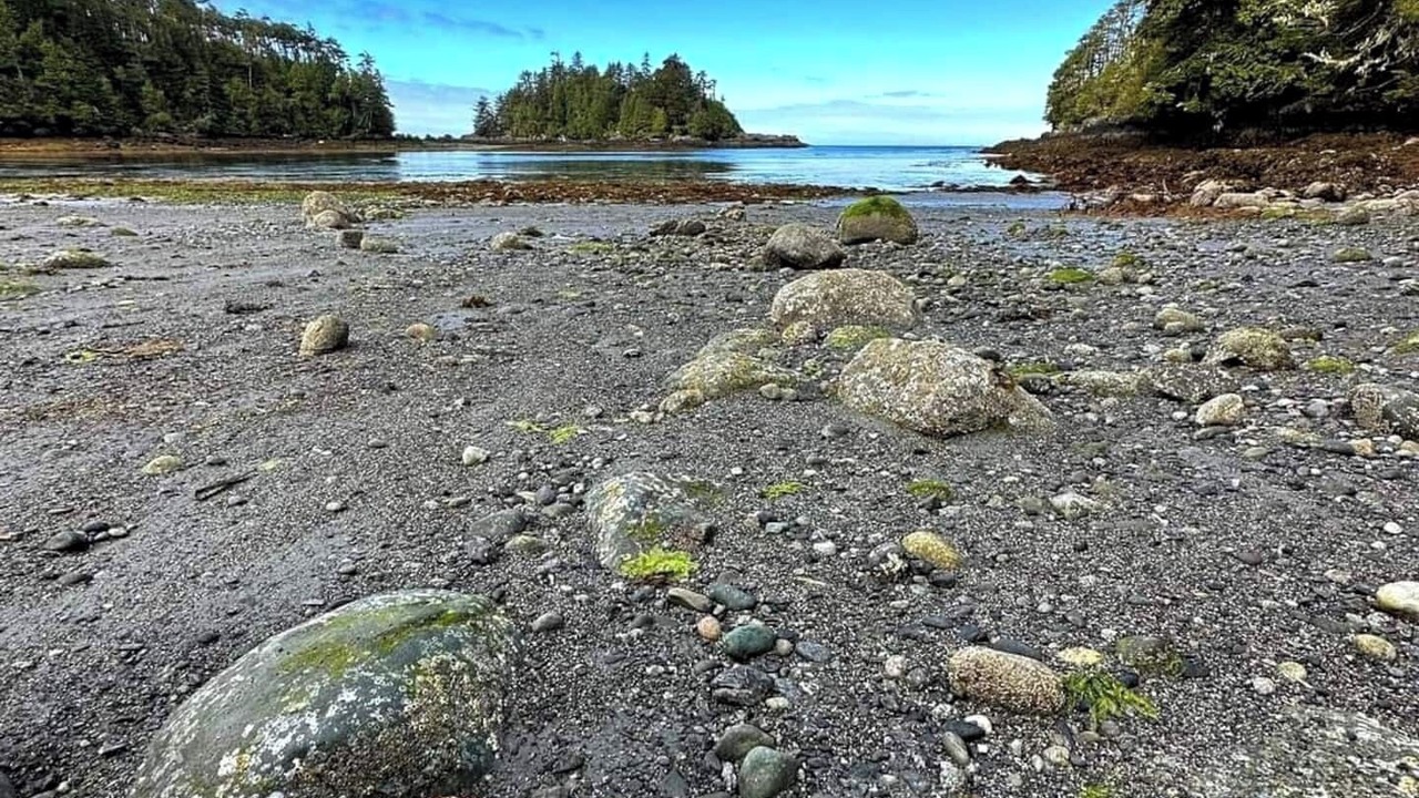 Photo of Others in Ucluelet