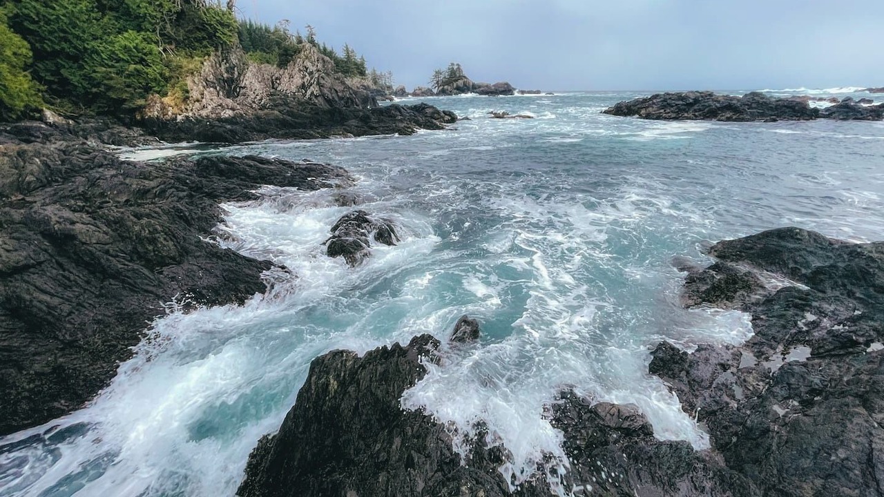 Photo of Others in Ucluelet
