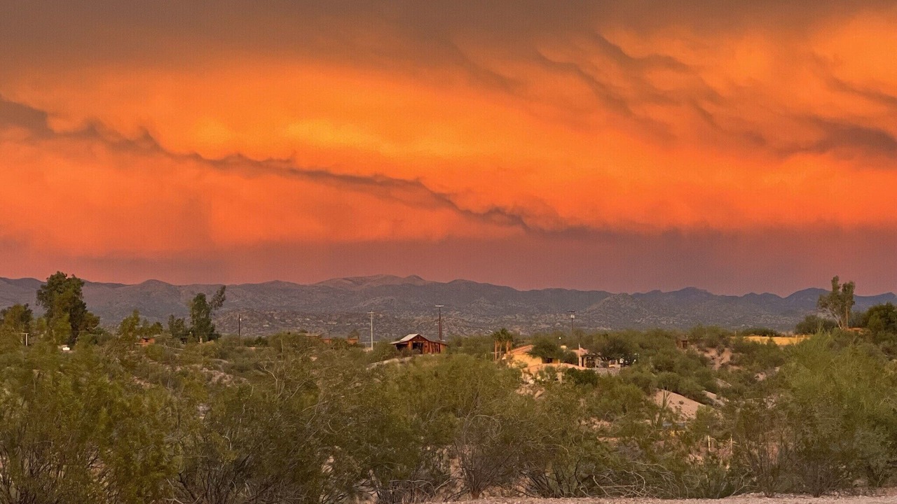 Photo of Others in Wickenburg