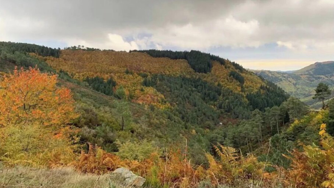 Photo of Outdoor in Manteigas