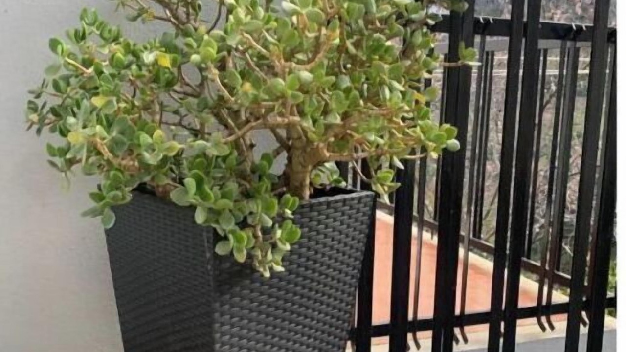 Photo of Outdoor in Manteigas