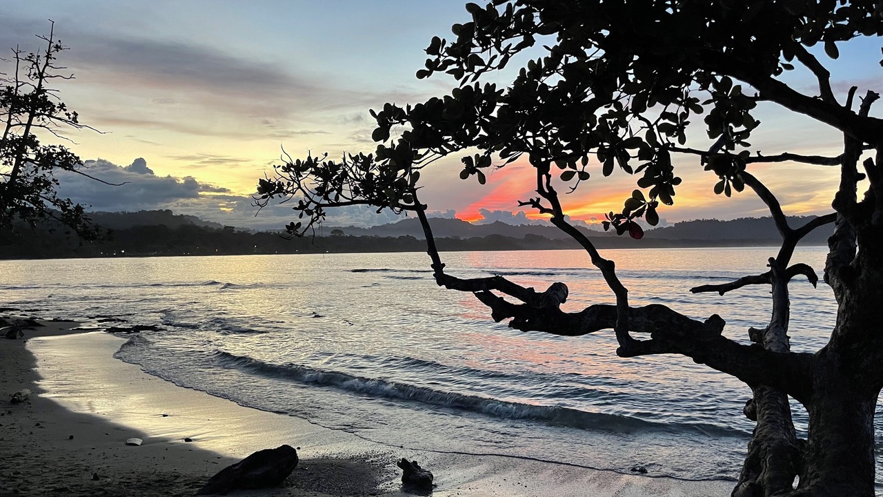 Photo of Others in Puerto Viejo de Talamanca