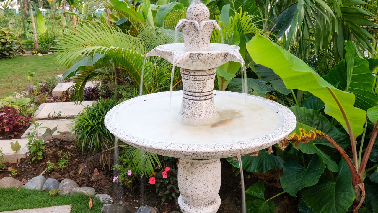 Photo of Outdoor in Puerto Viejo de Talamanca