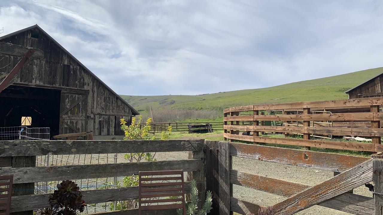 Photo of Outdoor in Cayucos