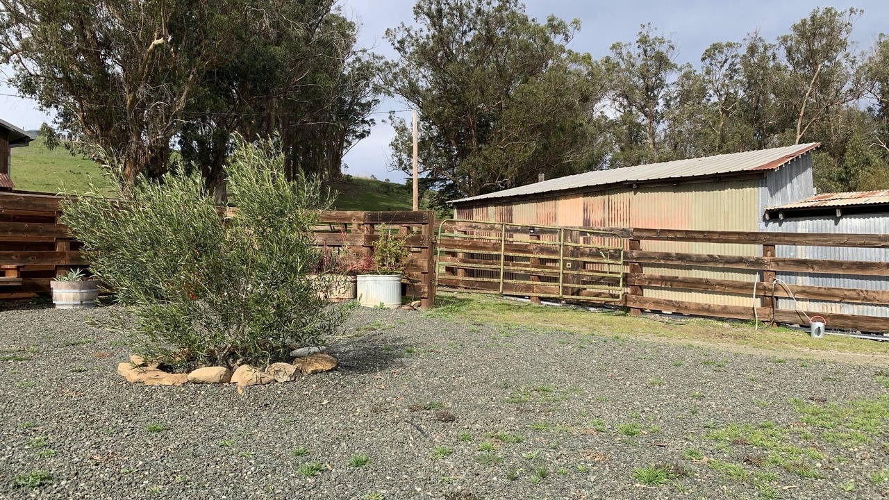 Photo of Outdoor in Cayucos