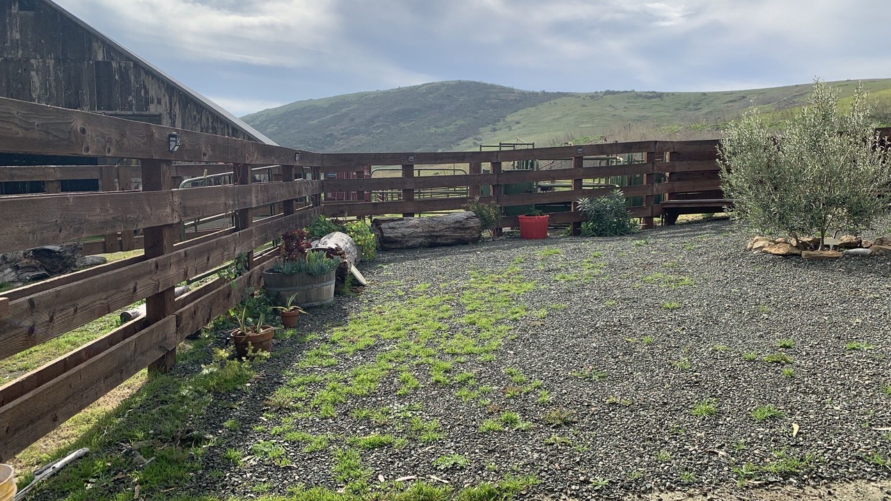 Photo of Outdoor in Cayucos