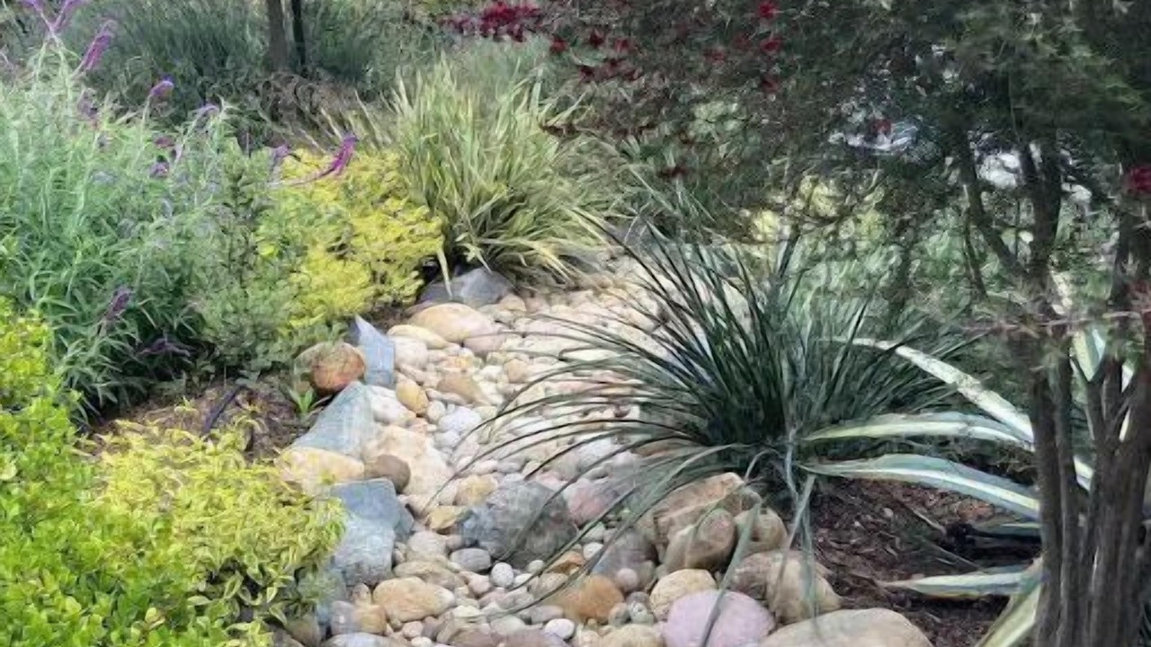 Photo of Outdoor in La Mesa
