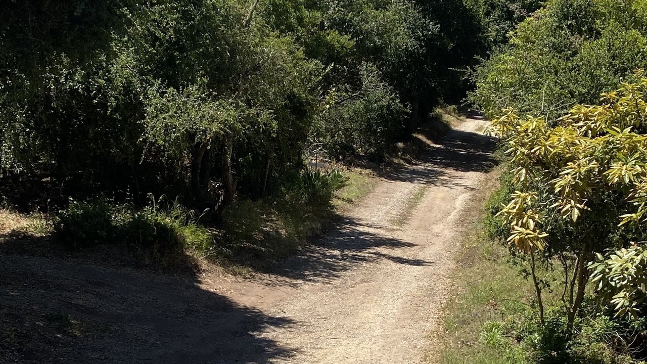 Photo of Others in Santa Barbara