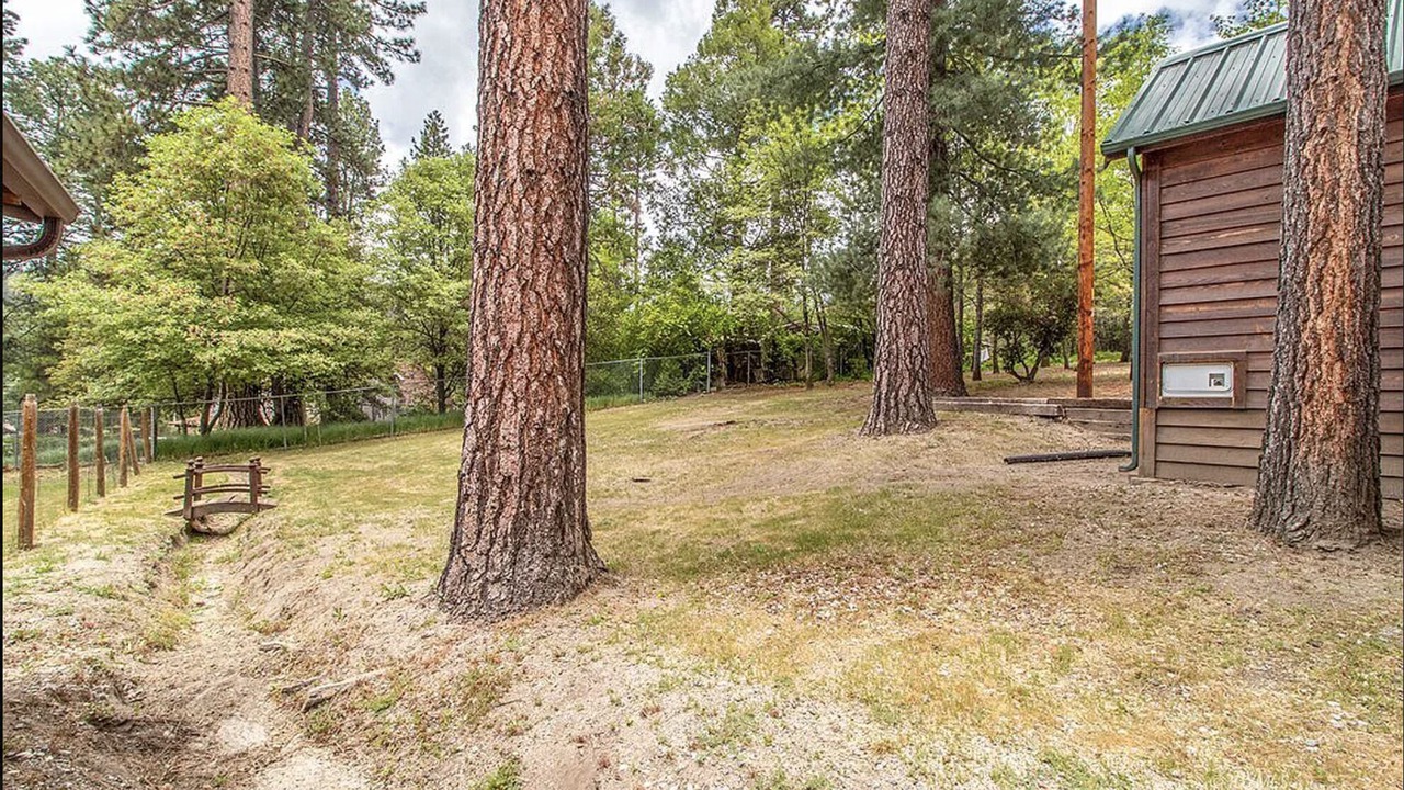 Photo of Outdoor in Idyllwild