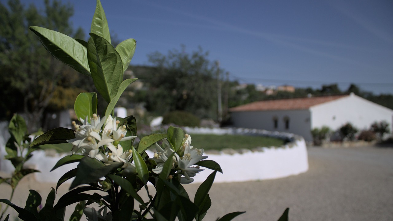 Photo of Others in Sao Clemente