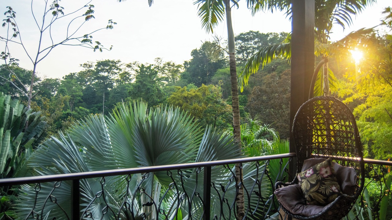 Photo of Outdoor in Uvita