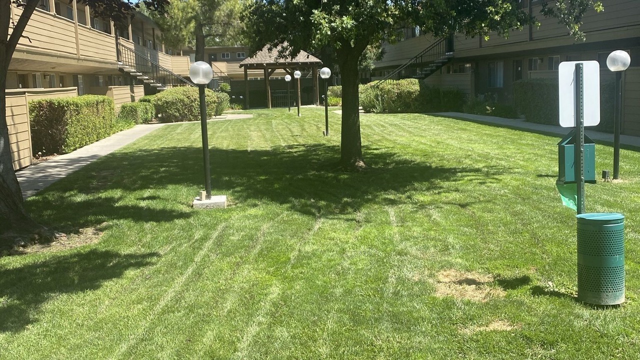 Photo of Outdoor in Cirby Side