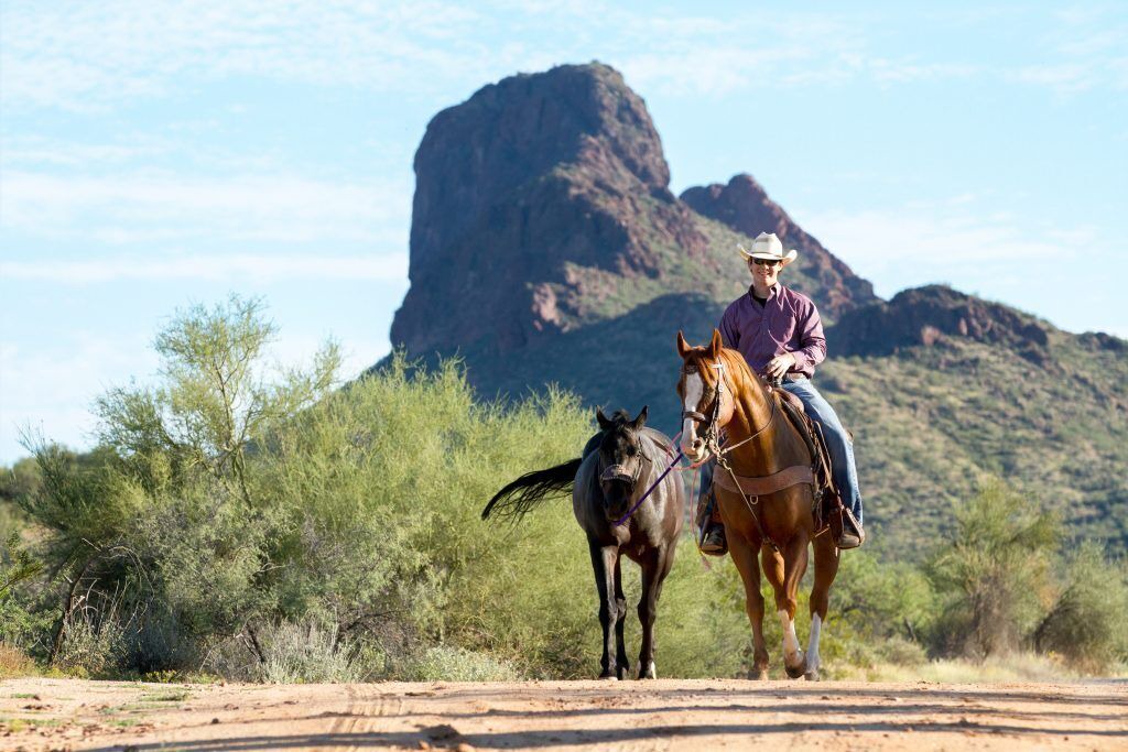 Photo of Others in Wickenburg