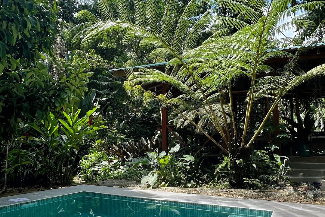 Photo of Outdoor in Cocles