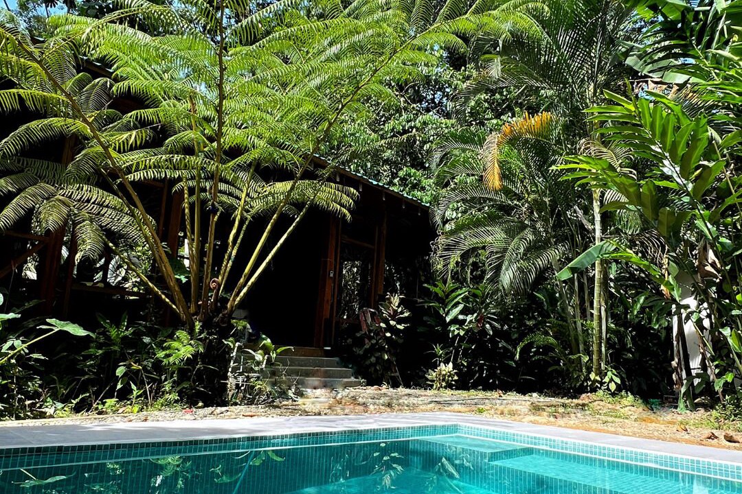 Photo of Outdoor in Cocles