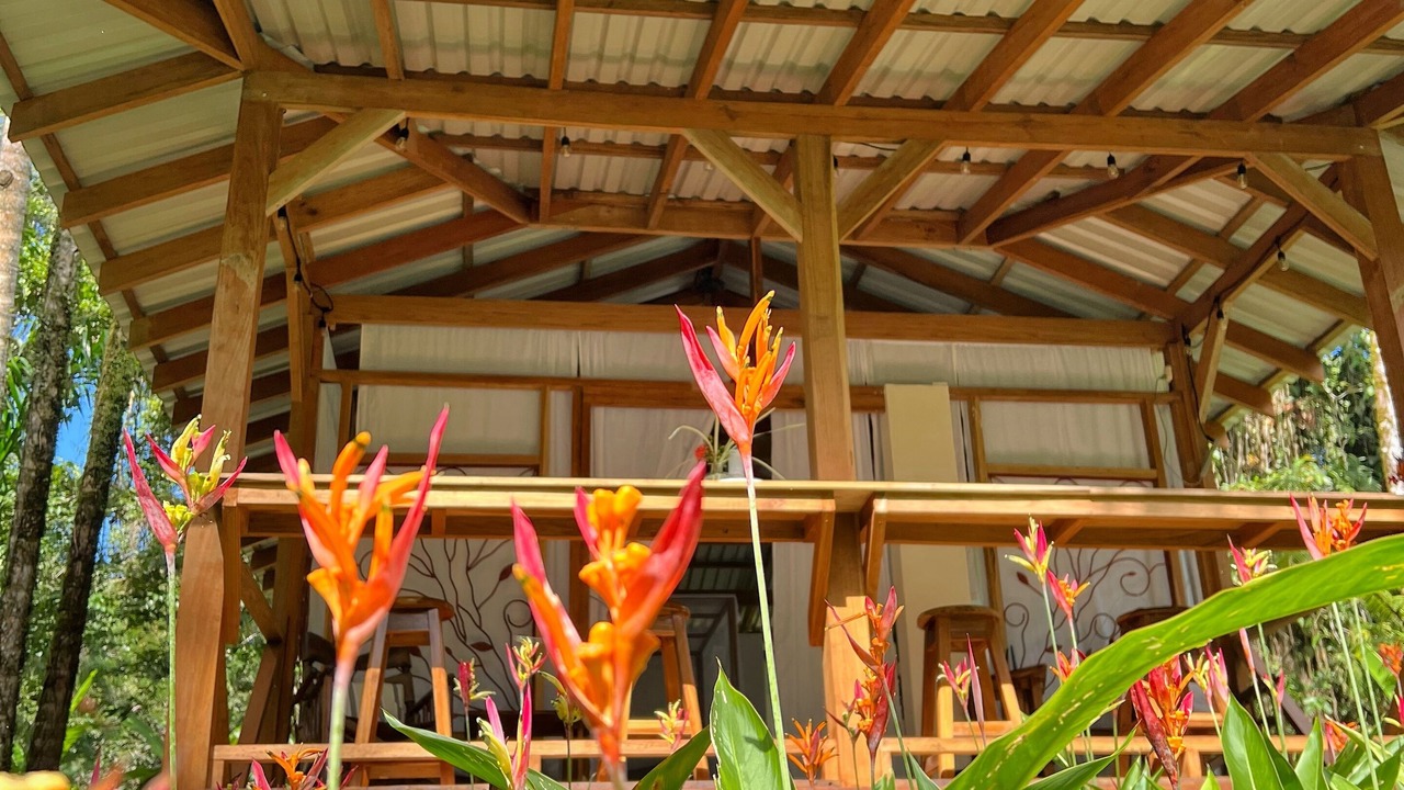 Photo of Outdoor in Cocles