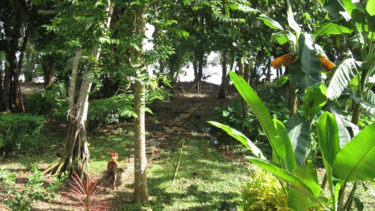 Photo of Outdoor in Dominical