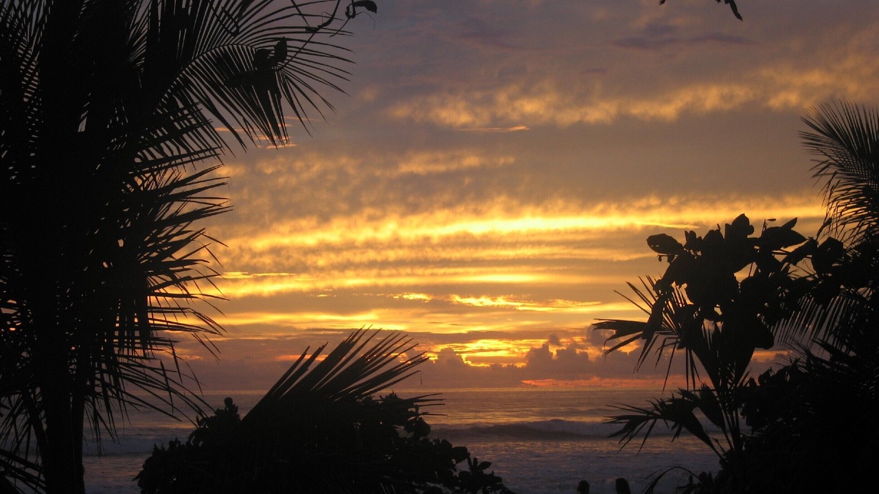 Photo of Others in Dominical