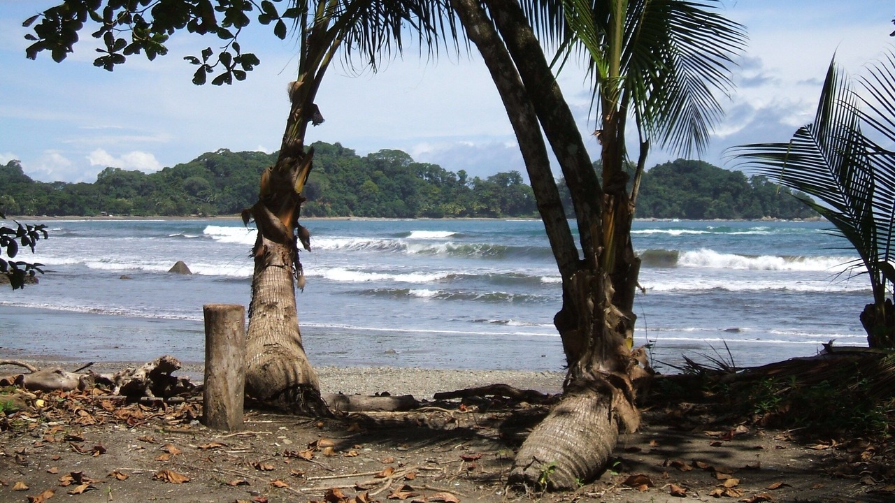 Photo of Others in Dominical