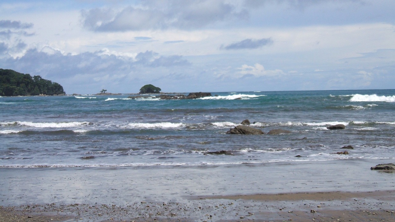 Photo of Others in Dominical