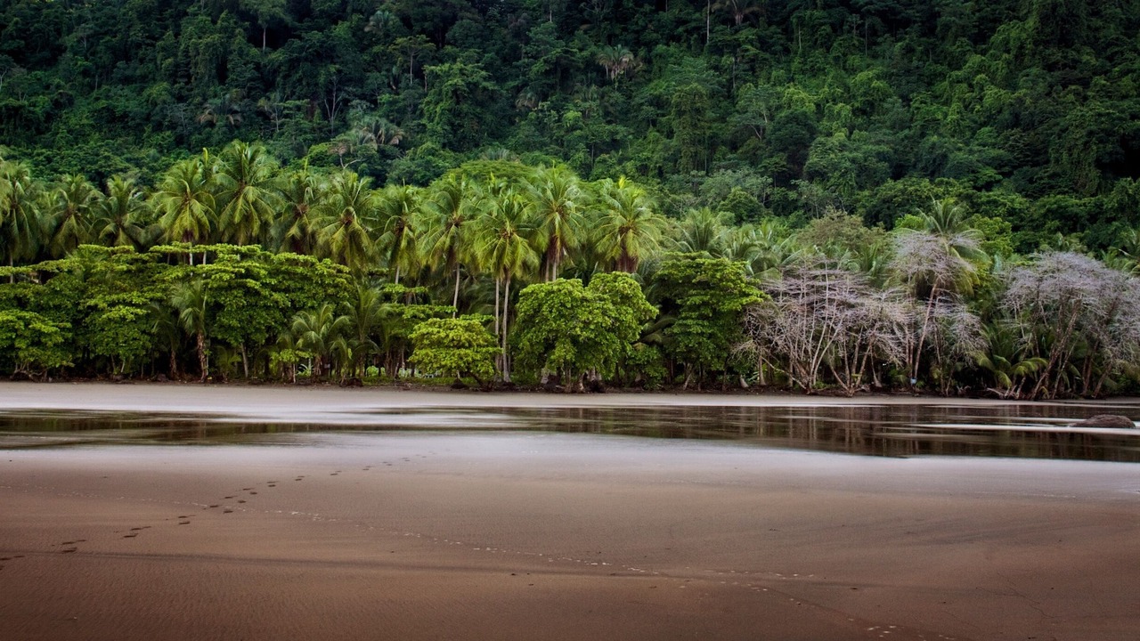 Photo of Others in Dominical