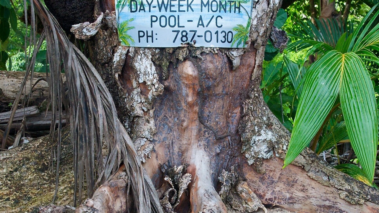 Photo of Outdoor in Dominical