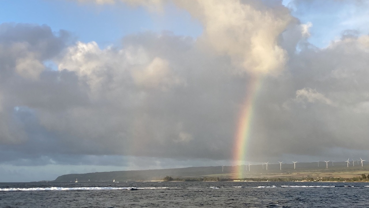 Photo of Others in Mokuleia