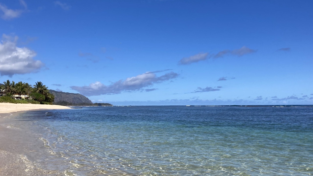 Photo of Others in Mokuleia
