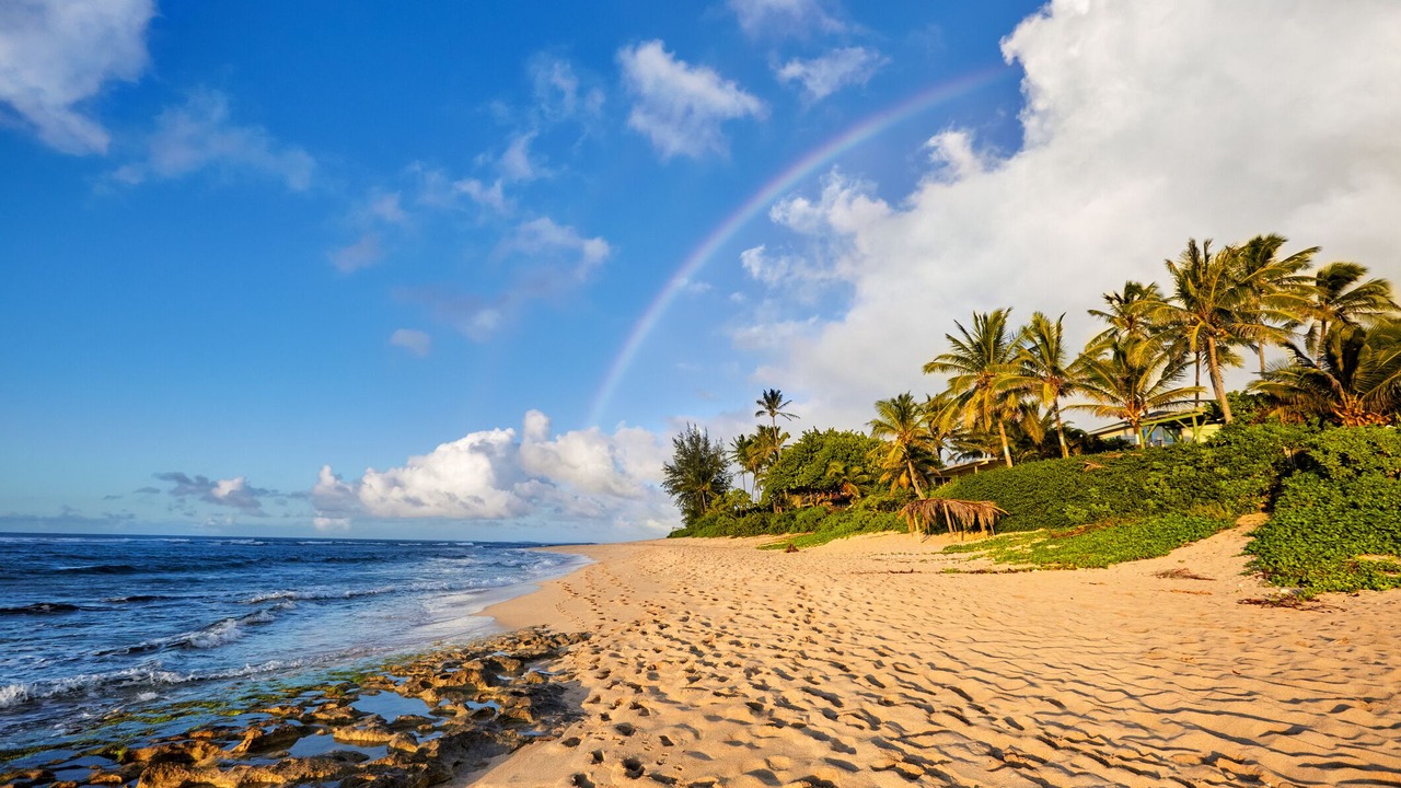 Photo of Others in Waialua