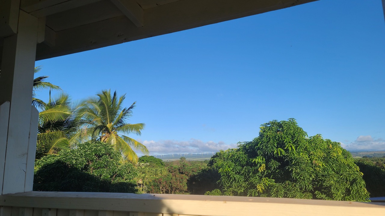 Photo of Outdoor in Waialua
