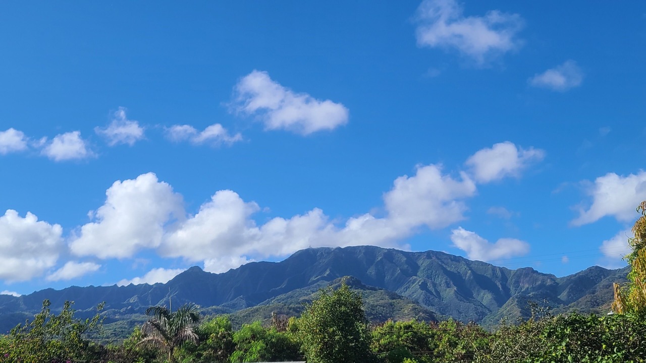 Photo of Others in Waialua