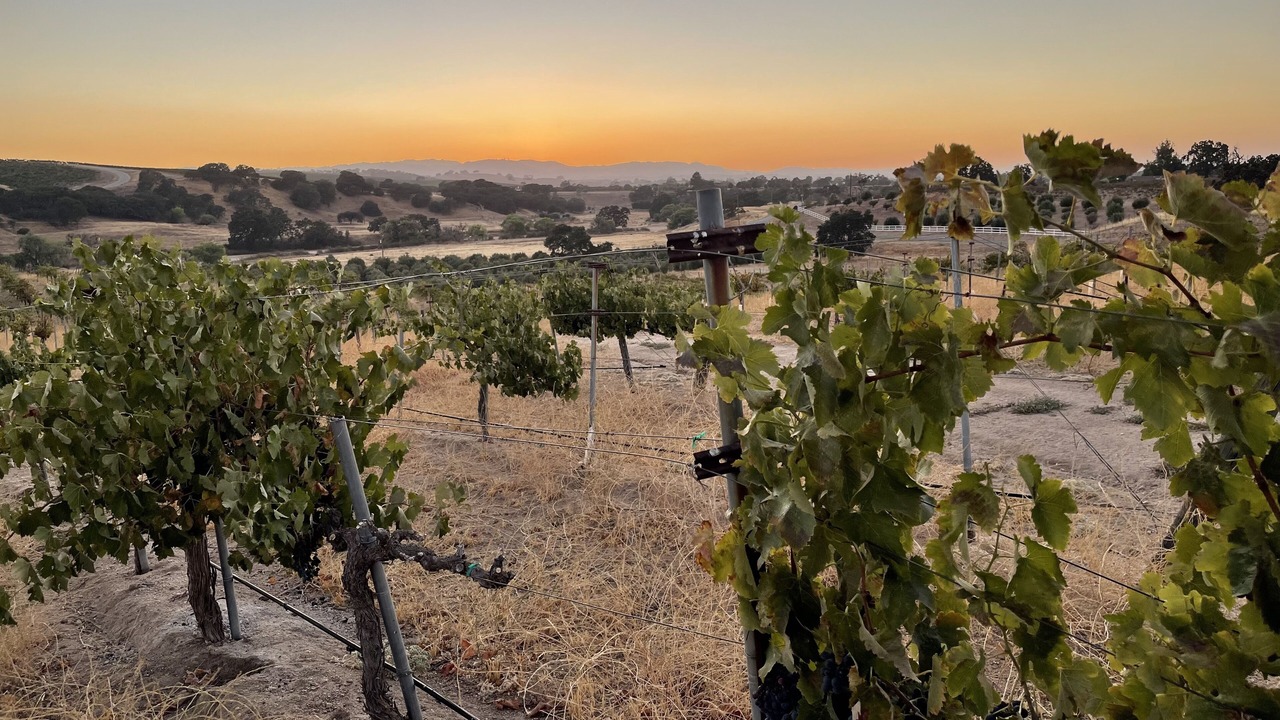 Photo of Outdoor in Paso Robles