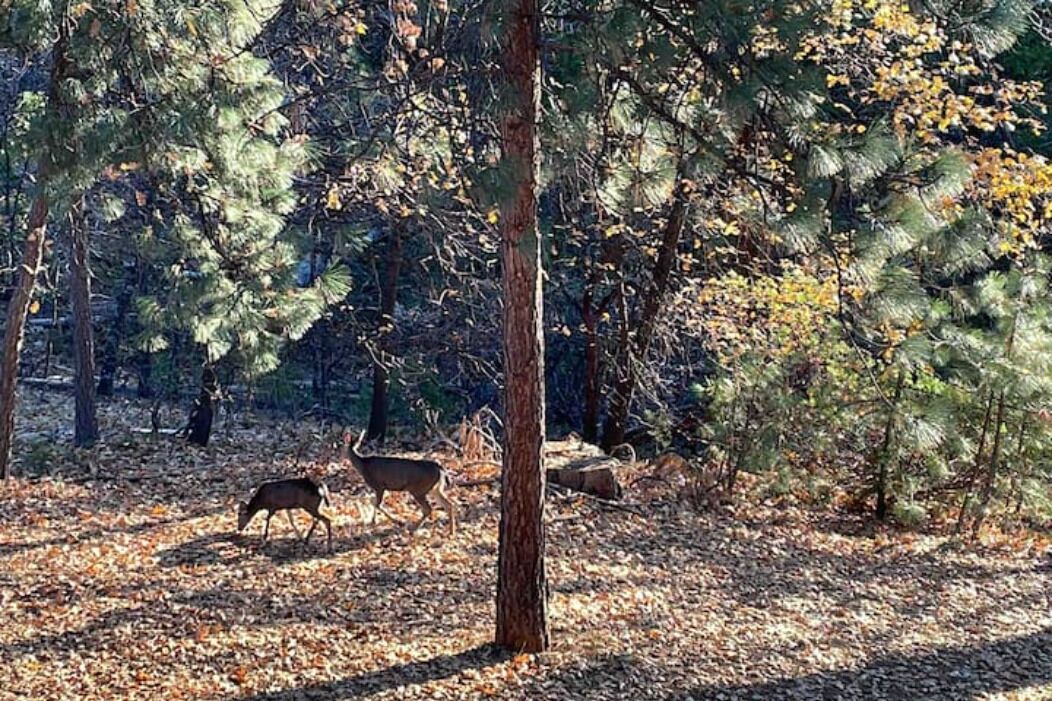 Photo of Others in Arnold