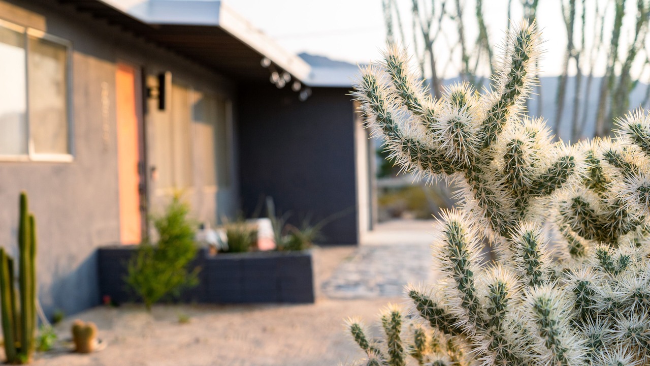 Photo of Outdoor in Twentynine Palms