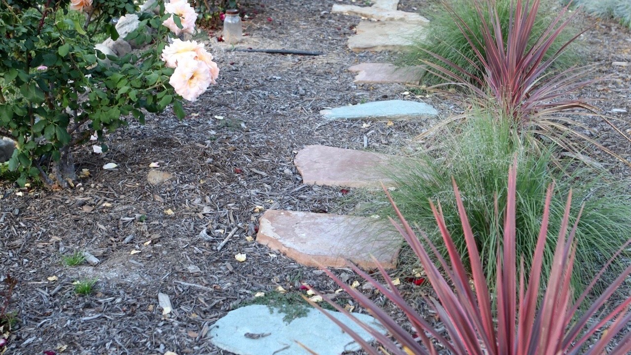 Photo of Outdoor in Mira Monte