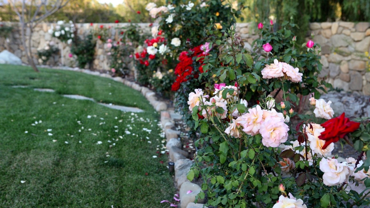 Photo of Outdoor in Mira Monte