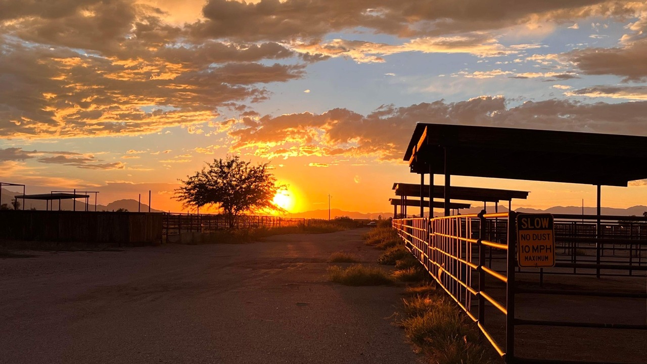 Photo of Others in Wickenburg