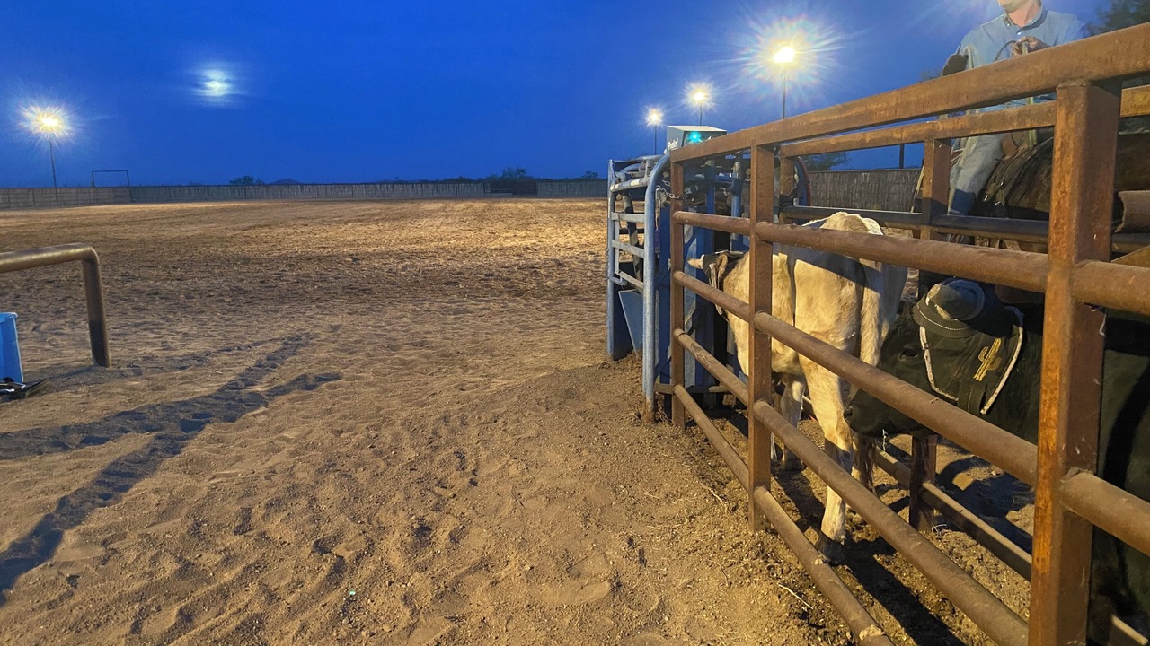 Photo of Others in Wickenburg