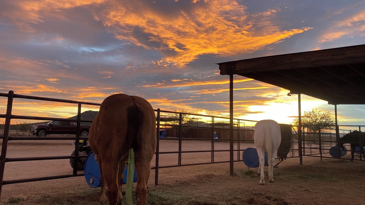 Photo of Others in Wickenburg