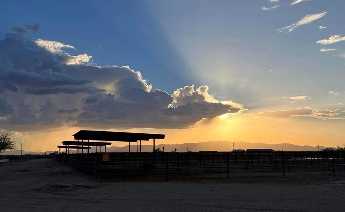Photo of Others in Wickenburg