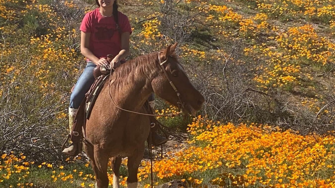 Photo of Others in Wickenburg
